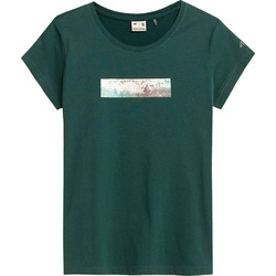 4F Γυναικείο Αθλητικό T-Shirt Κυπαρισσί H4Z21-TSD023-40S