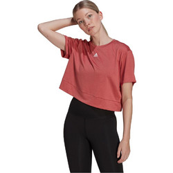 Adidas AEROREADY Studio Loose Tee Γυναικείο Αθλητικό Crop Top Rusted HM8721