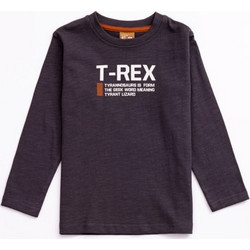 Funky Παιδικό T-Shirt Μακρυμάνικο Ανθρακί 224-306115-1