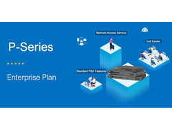 Yeastar P560 Enterprise Plan
