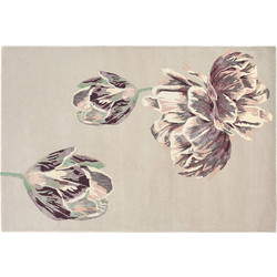 Ted Baker Χαλί 250x350 Tranquility Beige 56001