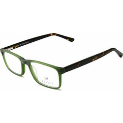 Frames REFLET 171 C4 53