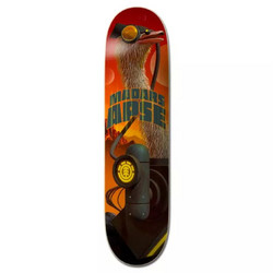 Element Future Nature Madars Deck Assorted 8.5