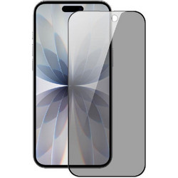 Dux Ducis Full Face Privacy Tempered Glass (iPhone 17)
