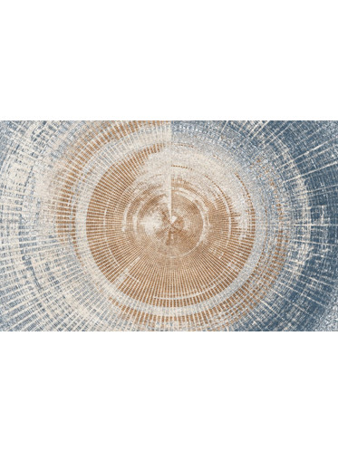 Heinner HR-PRINT200-HARP Αντιολισθητικό Χαλί Ορθογώνιο , Harper , 200x300