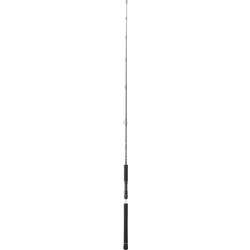 Daiwa Legalis Oceano Καλάμι Ψαρέματος για Jigging Carbon Δίσπαστο 1.96m