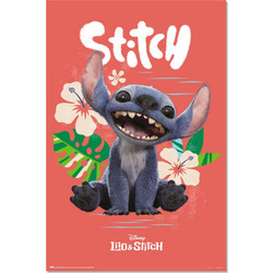 Disney Stitch Live Action poster