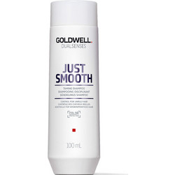 Goldwell Dualsenses Just Smooth Σαμπουάν για Φριζάρισμα για Ταλαιπωρημένα Μαλλιά 250ml