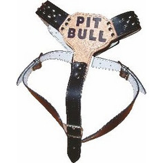 Επιστήθιο Σαμαράκι σκύλου δερμάτινο 'PIT BULL' με διακοσμητικά, Medium