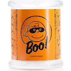 Peanuts Snoopy and Woodstock Αρωματικό Κερί σε Βάζο 250gr