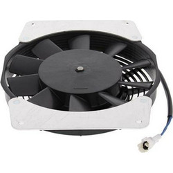 ALL BALLS Radiator Fan