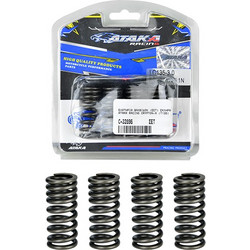 ΕΛΑΤΗΡΙΑ ΒΑΛΒΙΔΩΝ (ΣΕΤ) ΣΚΛΗΡΑ ATAKA RACING YAMAHA CRYPTON-X (T135) (3.0)