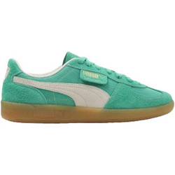 Puma Palermo Vintage Ανδρικά Sneakers Πράσινο Mint 396841-05