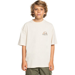 Quiksilver Παιδικό T-Shirt Κοντομάνικο Εκρού EQBZT04798-WDW0