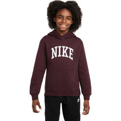 Nike Παιδικό Φούτερ με Κουκούλα Καφέ HJ3156-652