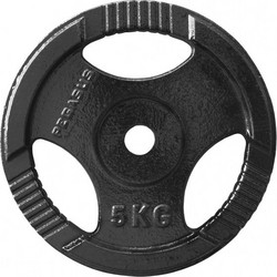 Pegasus Δίσκος Μεταλλικός 5kg Φ29mm