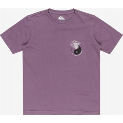 Quiksilver Παιδικό T-Shirt Κοντομάνικο Μωβ EQBZT04839