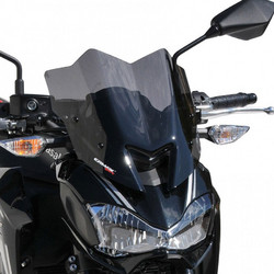 ERMAX Φιμέ Ζελατίνα Μηχανής για Kawasaki Z900 '17-'19 300mm 0303096-03