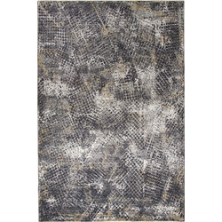 Βιοκαρπέτ Garbo Χαλί Ορθογώνιο 200x290cm 365A Anthracite