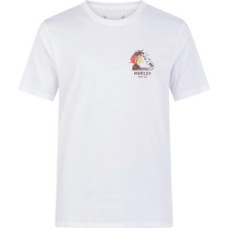 Hurley Ανδρικό Αθλητικό T-Shirt Λευκό MTS0035350-H100