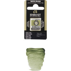 Royal Talens Rembrandt 629 Green Earth Νερομπογιά 11-586-629