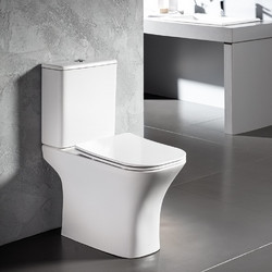 Bianco Ceramica Delia Λεκάνη Τουαλέτας Δαπέδου Rimless Πίσω Σιφώνι με Καζανάκι & Κάλυμμα Slim Soft Close Λευκή DL12000SC-300