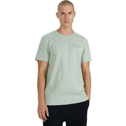 4F Ανδρικό Αθλητικό T-Shirt Πράσινο Mint 4FWAW25TTSHM2372-47S