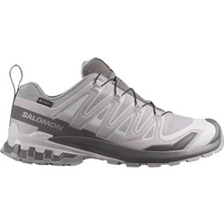 Salomon XA Pro 3D V9 Ανδρικά Ορειβατικά Παπούτσια Αδιάβροχα Gore-Tex Γκρι L49199100