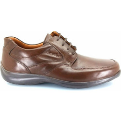 Boxer Ανδρικά Σκαρπίνια Derby Δερμάτινα Καφέ 23001-15-014
