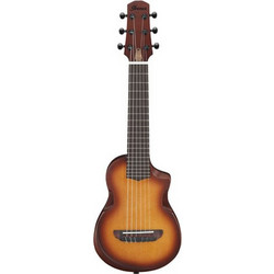 Ibanez AUP10N-OLB Light Brown Sunburst