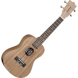 Tanglewood TWT3 Concert