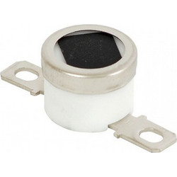 RICOH THERMOSTAT 165 AW110079
