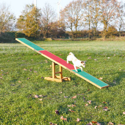 Τραμπάλα για Σκύλους Trixie Agility, Διαστάσεων:300x54x34 cm