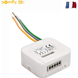 Μικροδέκτης RTS για φωτισμό Somfy 2401161