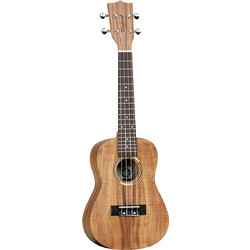 Tanglewood TWT8 Concert
