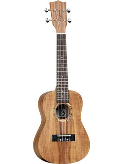 Tanglewood TWT8 Concert