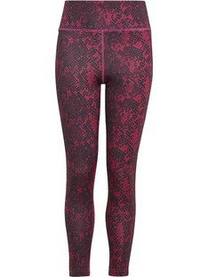 ADIDAS AOP OPT TIGHTS (IC0352) (IC0352)