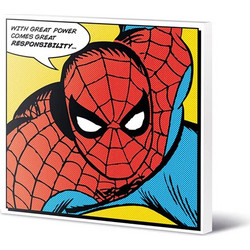 Marvel Spider-Man (Quote) Canvas 40 x 40cm - DC95051