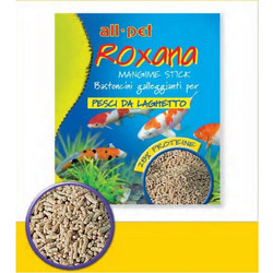 All Pet Τροφή για Ψάρια Λίμνης και Χελώνες Νερού Sticks 500gr Χύμα