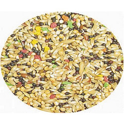 Professional Mix Daily 25kg