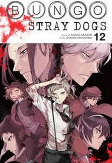 Bungo Stray Dogs, Vol. 12