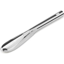 Απολεπιστής Ψαριών Inox 24cm