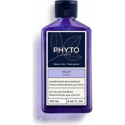 Κρέμα για Χτενίσματα Phyto Paris Violet 250 ml
