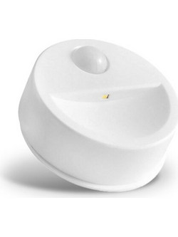 Night Light LED FLC-01 PIR 3xAAA Forever Light