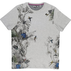 TED BAKER T-SHIRT ΚΟΝΤΟΜΑΝΙΚΟ ΓΚΡΙ ΜΕ ΣΧΕΔΙΑ ΣΕ ΟΛΗ ΤΗΝ ΕΠΙΦΑΝΕΙΑ ΚΑΝΟΝΙΚΗ ΓΡΑΜΜΗ