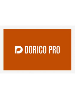 Steinberg Dorico Pro 6