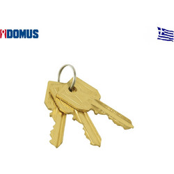 Κλειδί άκοπο με 5 δόντια δεξιά Domus (16009R)