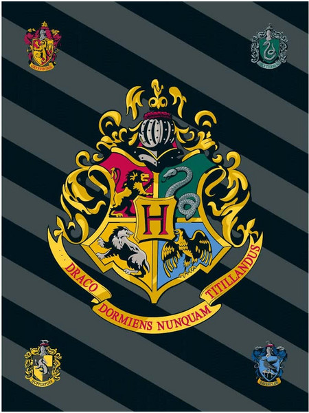 Κουβέρτα Fleece Harry Potter - Γκρι - 153381