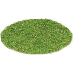 Beauty Home ΣΟΥΠΛΑ GREENERY 35 cm