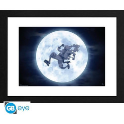 ONE PIECE - Collector Print 30X40 - Nika